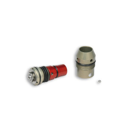 Kit regulacion compresion de amortiguador Malossi RS24 / RS10