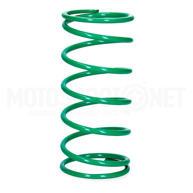 Malossi Maxiscooter Variator Spring for Original Yamaha 500 TMAX - 530 TMAX  (2914401.G0) Green (Rigid - 39%) (+ Mounting for MultiVar) : :  Automotive