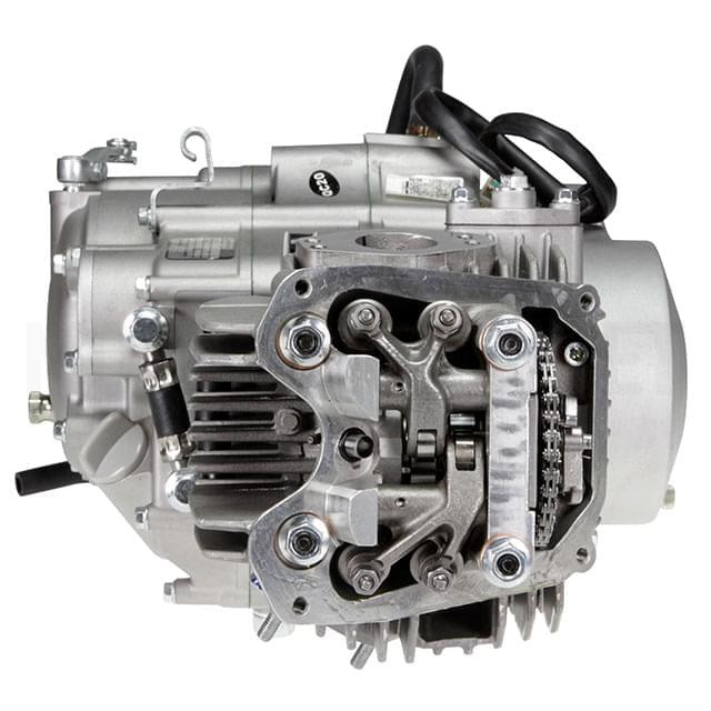 Engine Daytona ANIMA Pitbike 150cc 4V Sku:DAY150ANIMA /d/a/day190anima_01_1.jpg