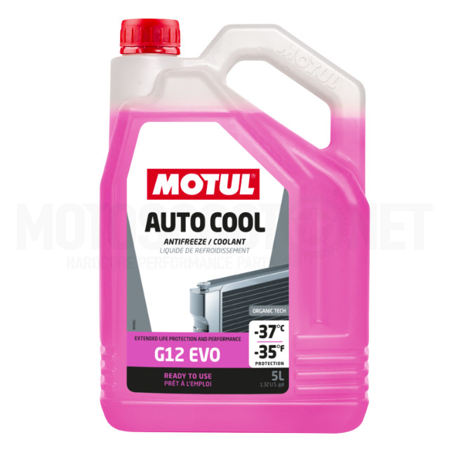 Liquido refrigerante Auto Cool G12 EVO -37º 5L Motul