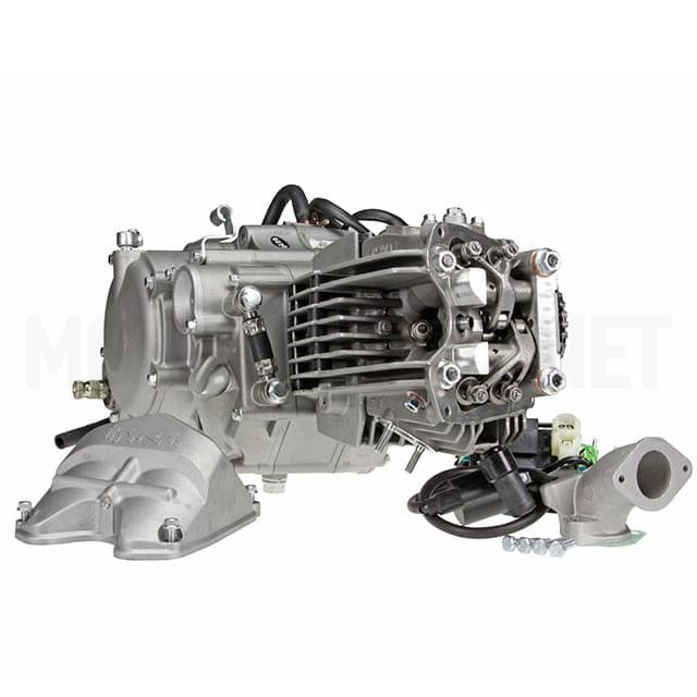 Engine Daytona ANIMA Pitbike 150cc 4V