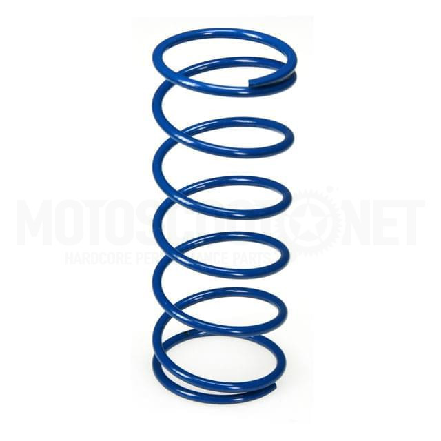 Clutch Springs Polini Maxiscooter Honda Foresight until 2005 / Kymco 250 until 2005