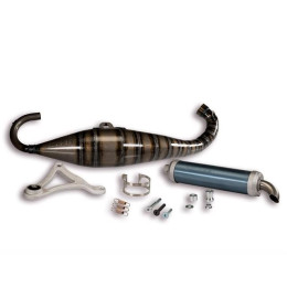 Exhaust for engine cover RC-One MHR 94cc Malossi