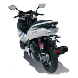 License Plate Holder ErMax Honda PCX with White Underseat Cover and LED