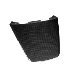 Closing under tail guard
 Yamaha T-Max 2008-2011 Carbon LEA Components
