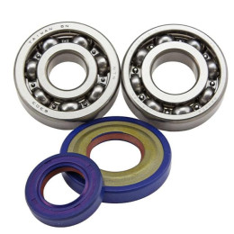 Vespa Primavera / Super / Junior 2-stroke Polini crankshaft bearing and seals set