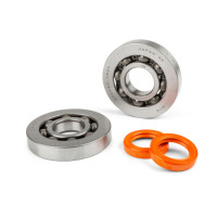 Crankshaft bearings and seals Gilera Runner 125/180 2T Stage6 R/T